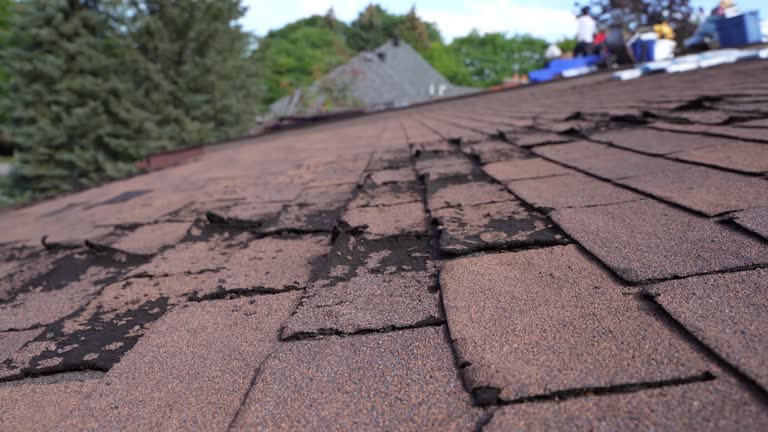 Best Hot Roofs  in Wellington, OH