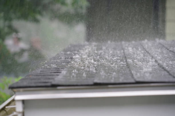 Best Storm Damage Roof Repair  in Wellington, OH