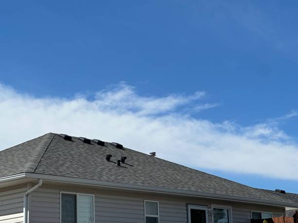 Steel Roofing in Wellington, OH