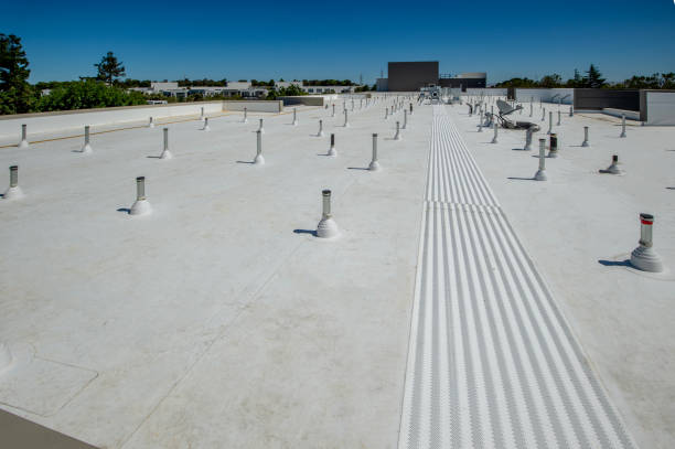 Best Asphalt Shingle Roofing  in Wellington, OH